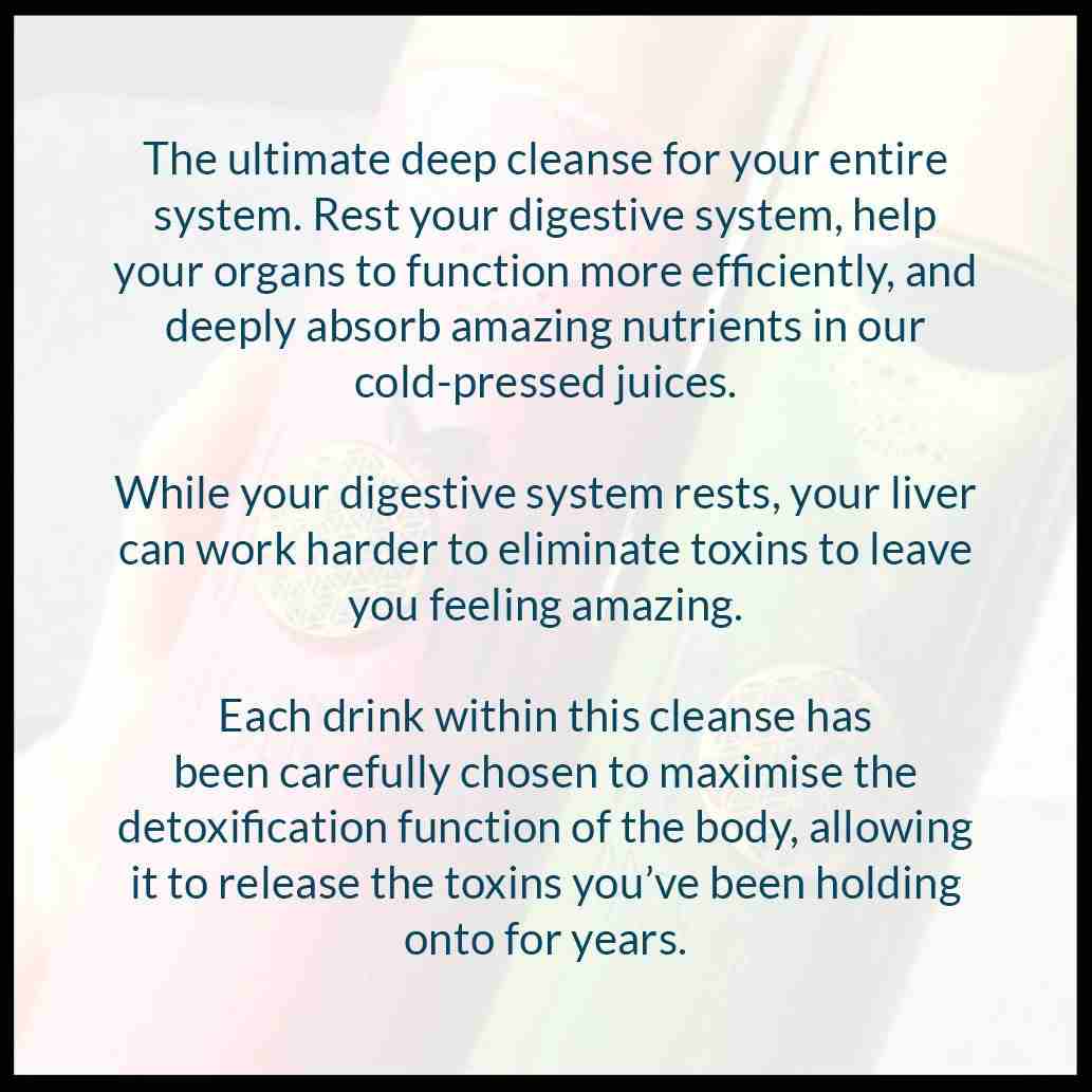 Deep System Cleanse Program