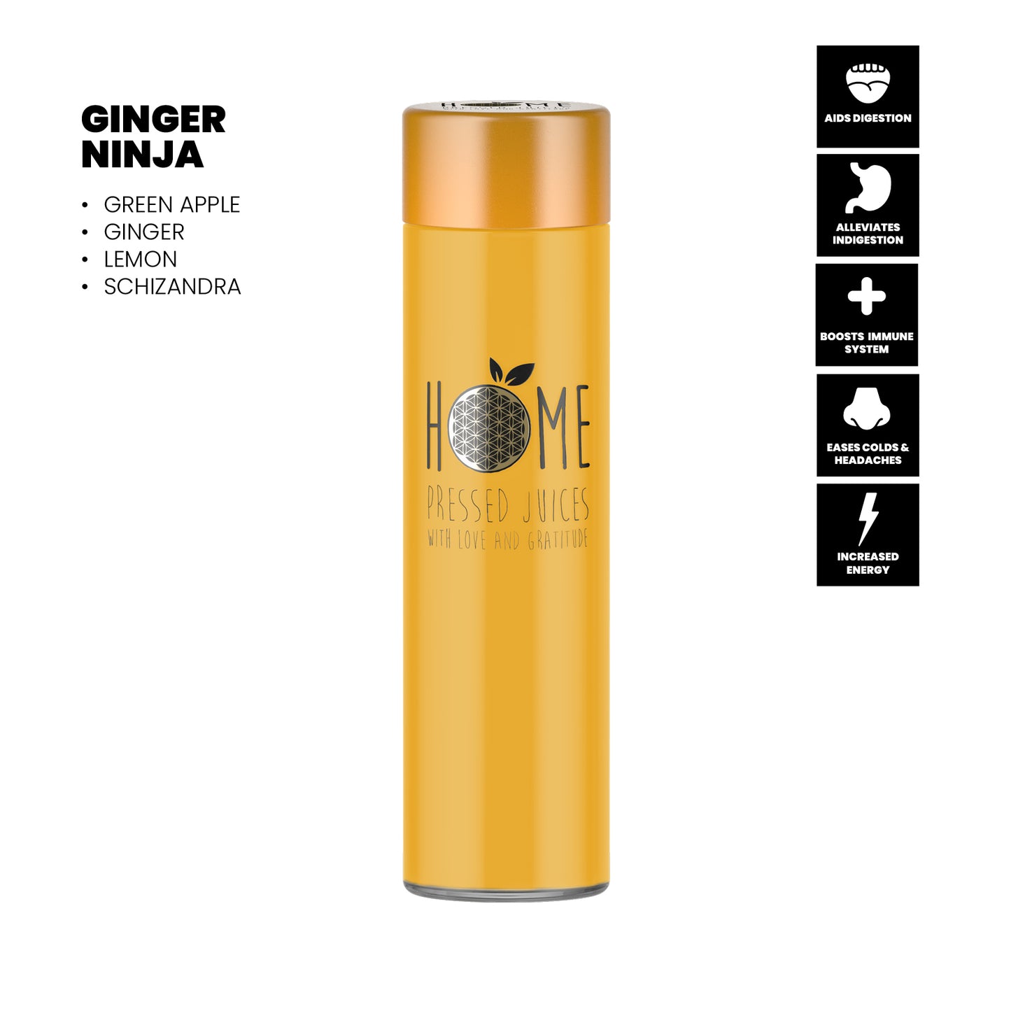 Ginger Ninja